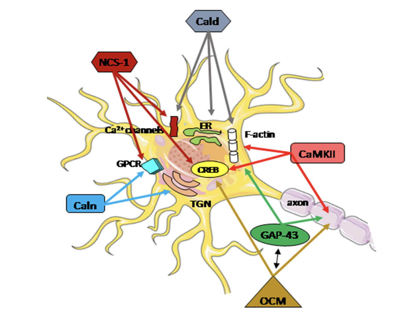 Figure 2 