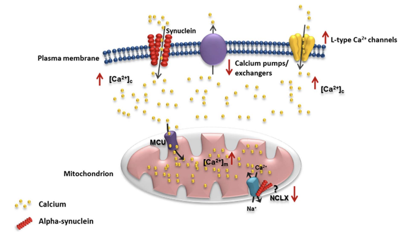 Figure 2 