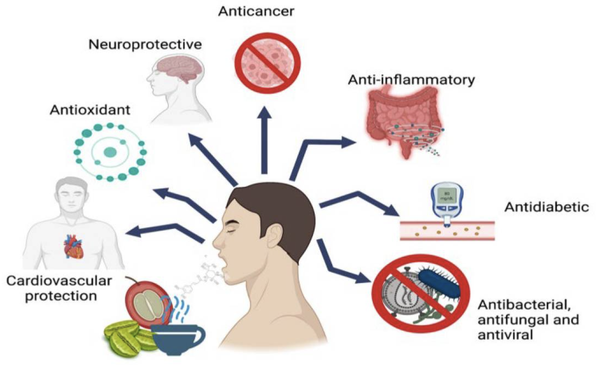 Figure 2: Unlocking the Therapeutic Potential of Coffee’s Chlorogenic Acids