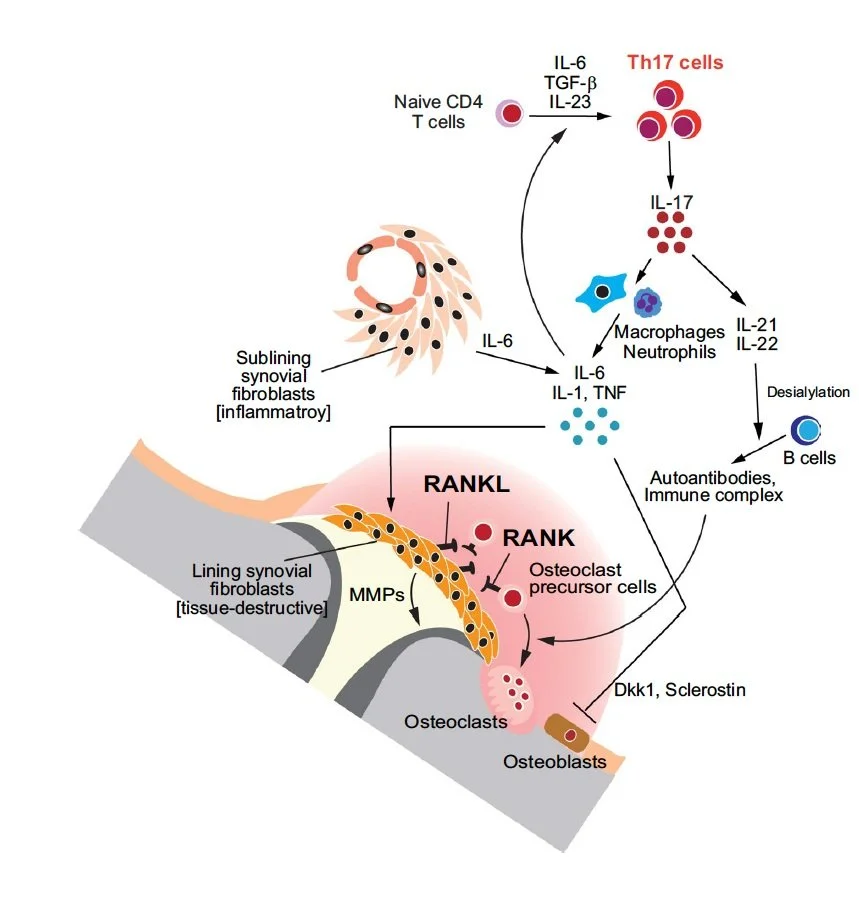 Figure 2 