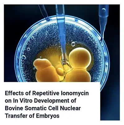 Repetitive Ionomycin Treatment in Bovine Nuclear Transfer Embryos