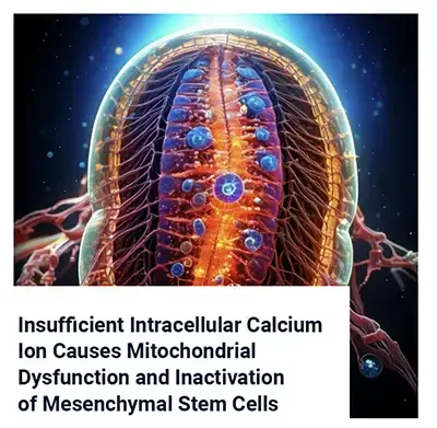 SAC: Insufficient Intracellular Calcium and Stem Cell Inactivation