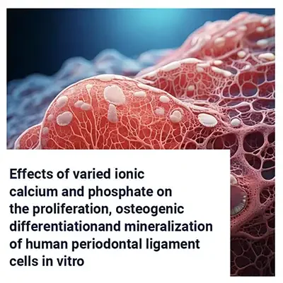 Ionic Calcium and Phosphate in Periodontal Ligament Cells