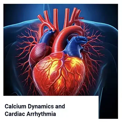 Calcium and Cardiac Arrhythmia