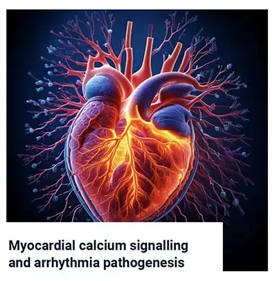 Myocardial Calcium Signalling in the Heart