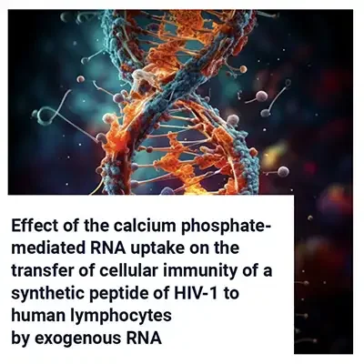 Calcium Phosphate-Mediated RNA Uptake and Transfer of Cellular Immunity