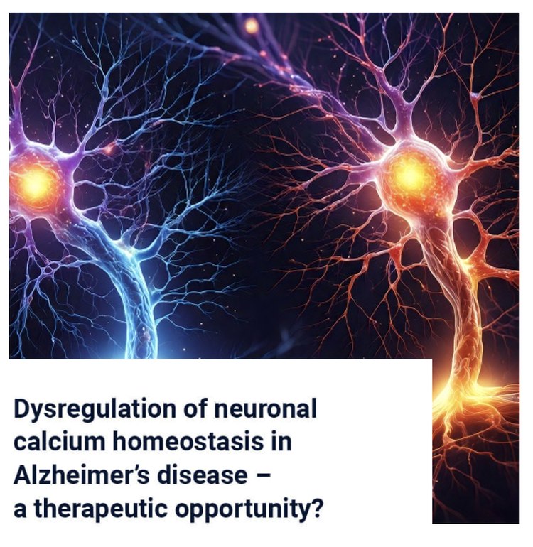Dysregulation of Neuronal Calcium Homeostasis in Alzheimer's Disease