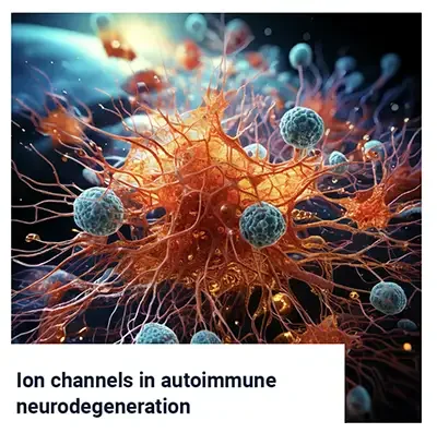Calcium and the Inflammatory Response in Multiple Sclerosis