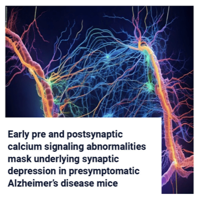 Calcium Signaling Abnormalities in Presymptomatic Alzheimer's Mice