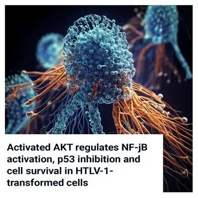 Activated AKT Regulates NF-kB and p53 Inhibition in HTLV-1 Cells