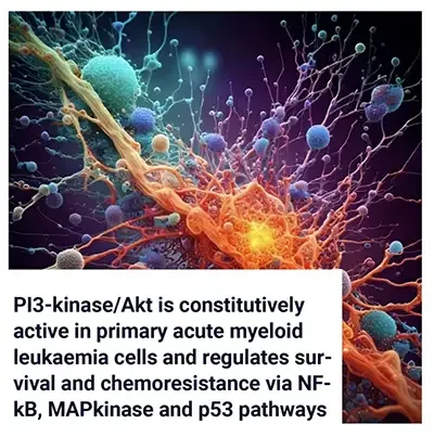 PI3-Kinase/Akt in Acute Myeloid Leukaemia Survival and Chemoresistance