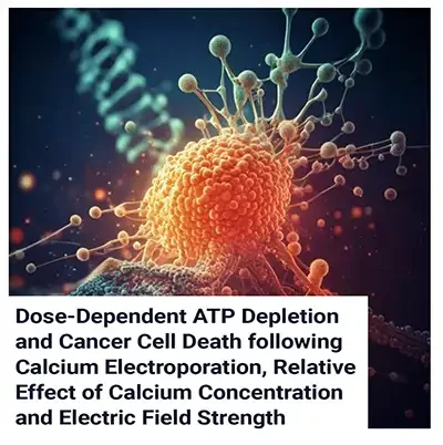 ATP Depletion and Cancer Cell Death after Calcium Electroporation
