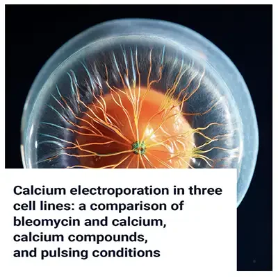 Calcium Electroporation in Three Cell Lines