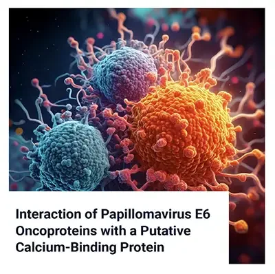 Papillomavirus E6 Oncoproteins and a Calcium-Binding Protein