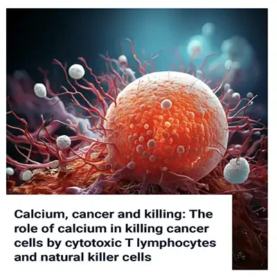 Calcium, Cancer, and Killing by Cytotoxic T and NK Cells