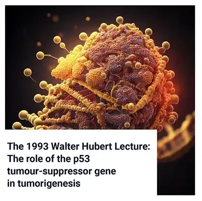 The Role of the p53 Tumour-Suppressor Gene in Tumorigenesis