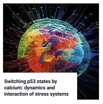 Switching p53 States by Calcium: Dynamics of Stress Systems