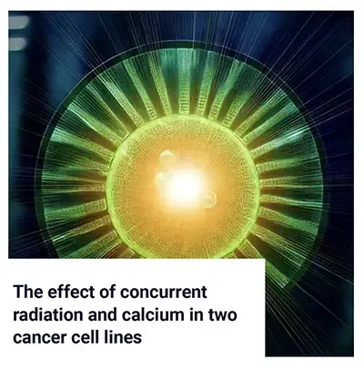Concurrent Radiation and Calcium in Two Cancer Cell Lines