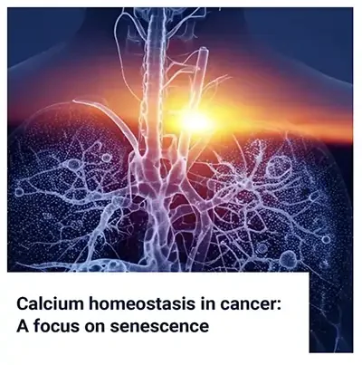 Calcium Homeostasis in Cancer: A Focus on Senescence