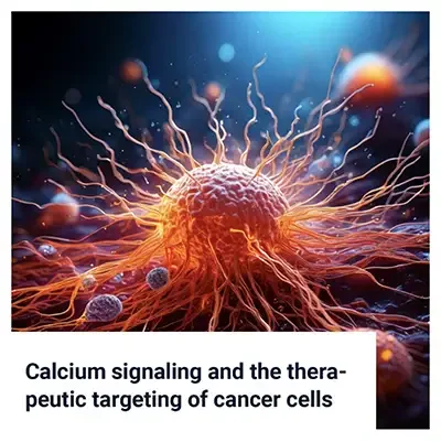 Calcium Signaling and the Therapeutic Targeting of Cancer Cells