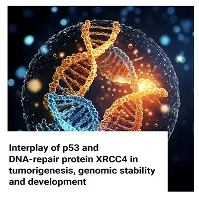 Interplay of p53 and DNA-Repair Protein XRCC4 in Tumorigenesis