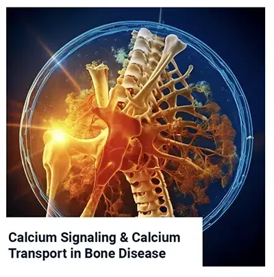 Calcium Signalling and Calcium Transport in Bone Disease
