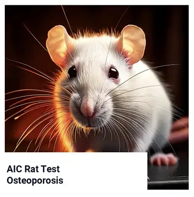 Anti-Bonding Calcium Carbonate in Ovariectomy-Induced Osteoporosis